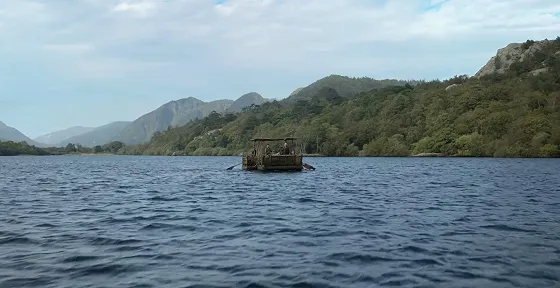 Сумерки волка